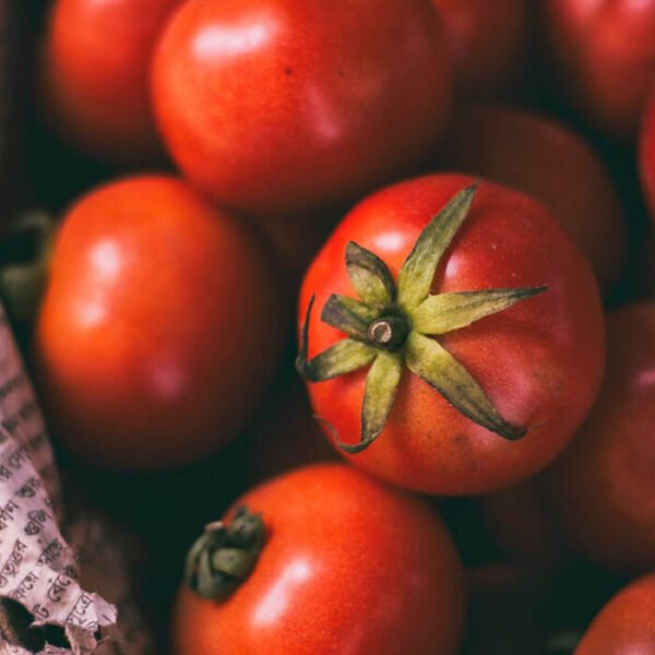 Red Hot Chili Pepper - Image 2